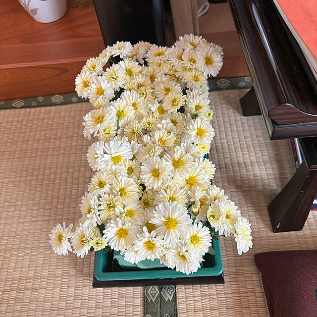 chIoeさんの部屋