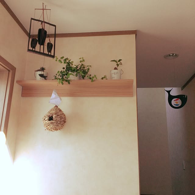 Haru87663さんの実例写真