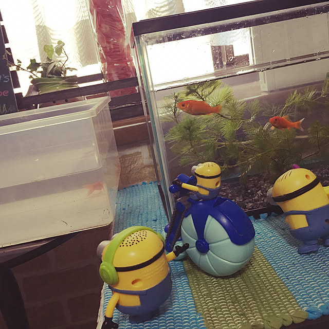 niko25reiさんの実例写真