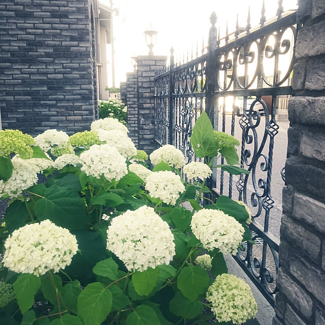 madeleineさんの実例写真