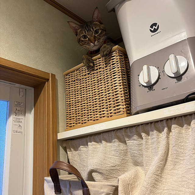 niko.mamさんの部屋