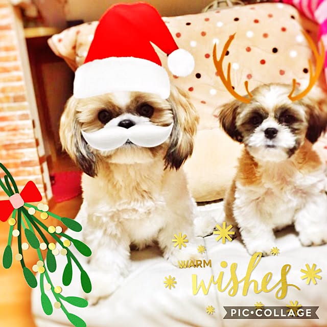 issei19maasa10さんの実例写真