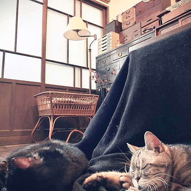mecchaさんの実例写真