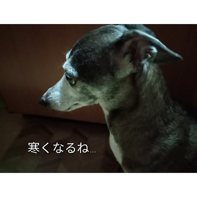 moruさんの部屋