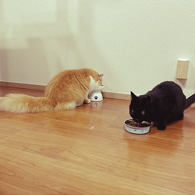 junさんの部屋