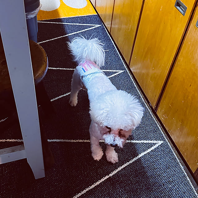 chacoさんの部屋