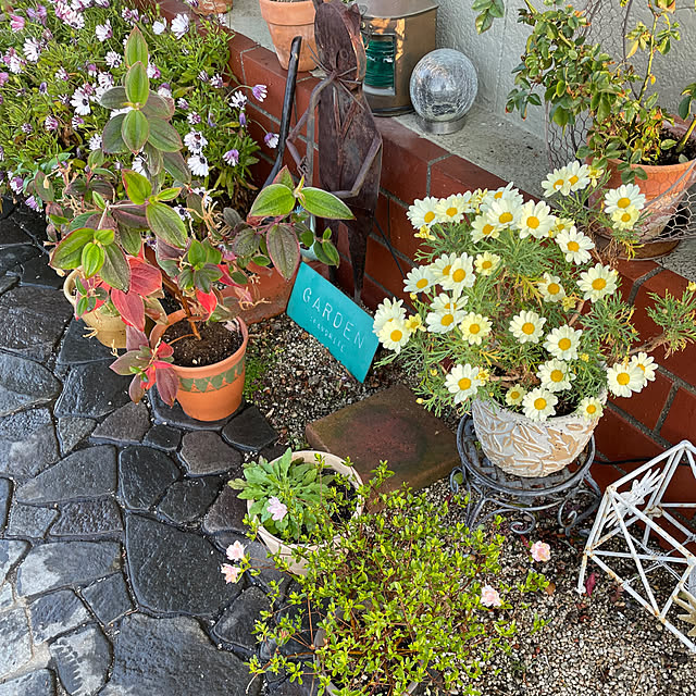 shin0719さんの部屋