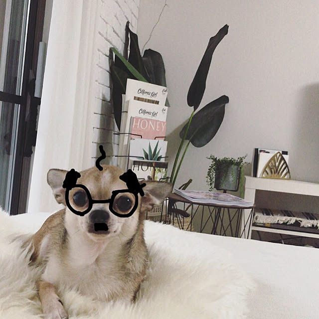 namiheeeeyさんの実例写真