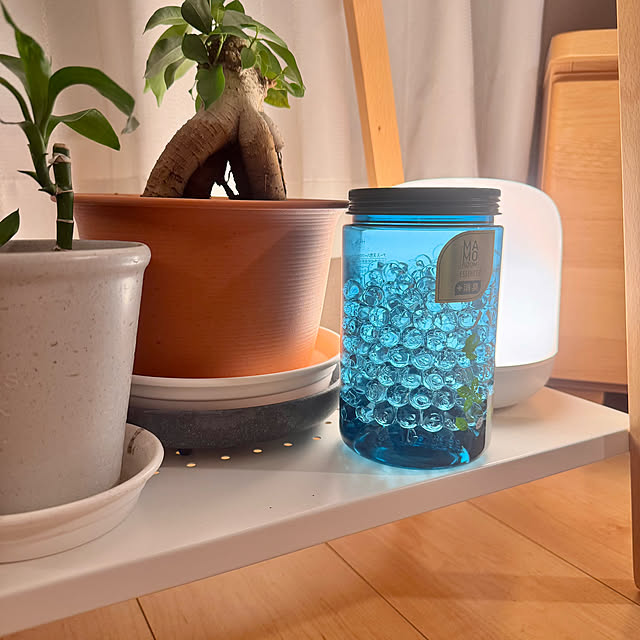 masumiさんの部屋