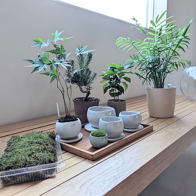 a.co.さんの部屋