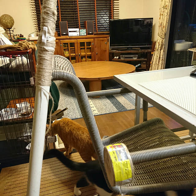 okyosan101さんの実例写真