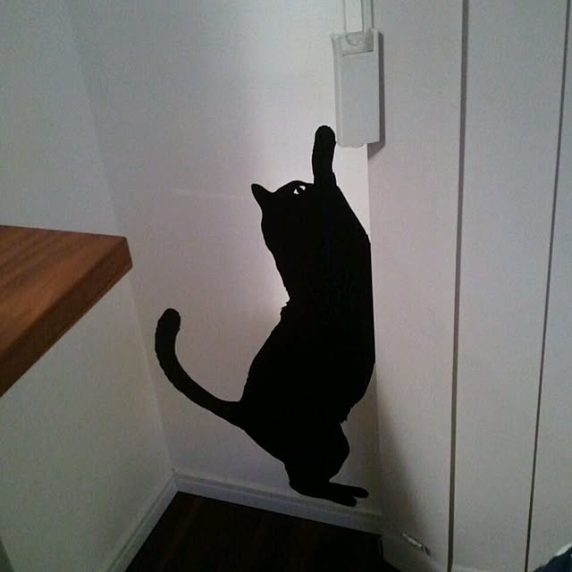 mASaYoukiさんの実例写真