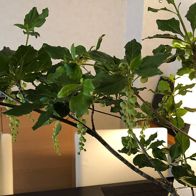 YUKOAKOさんの部屋