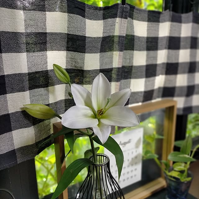 michiさんの部屋