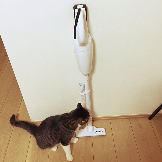 Boboさんの実例写真