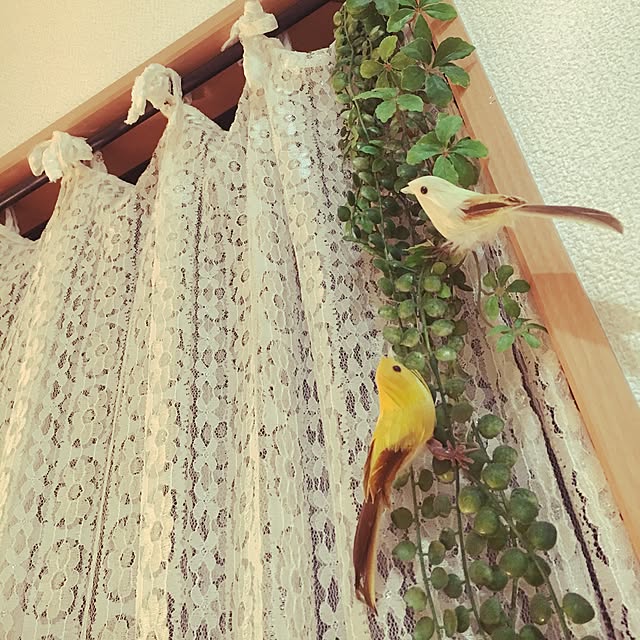kikeikoさんの実例写真