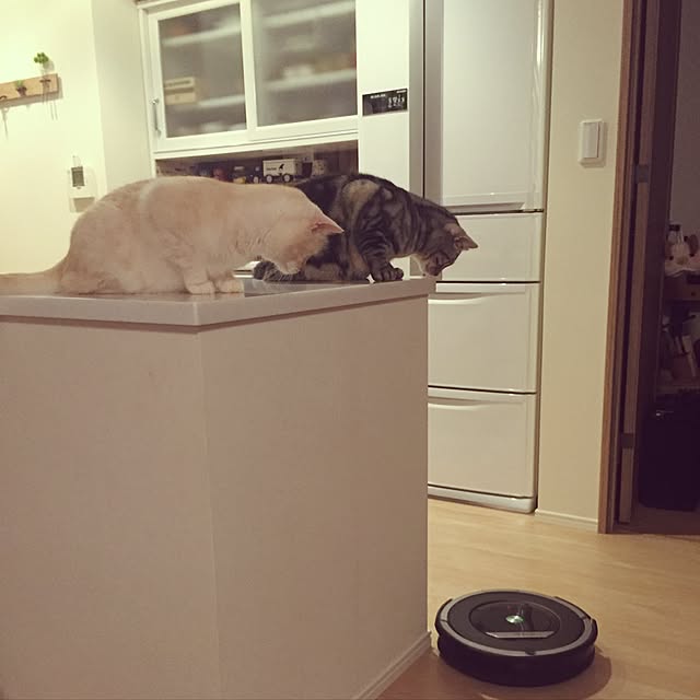 y.k.0123さんの実例写真