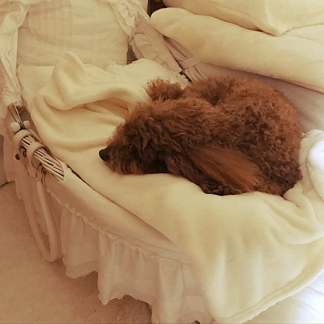 Sさんの実例写真