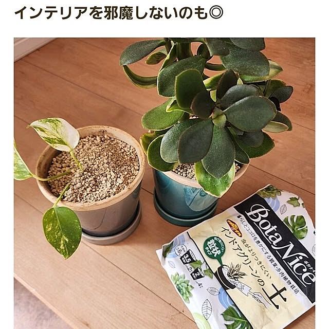 saさんの実例写真
