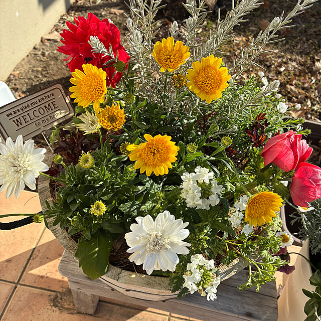 leepo5さんの実例写真