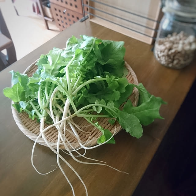 greenwireさんの実例写真