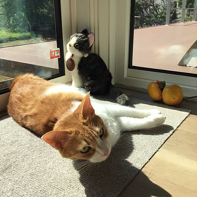 houenさんの実例写真