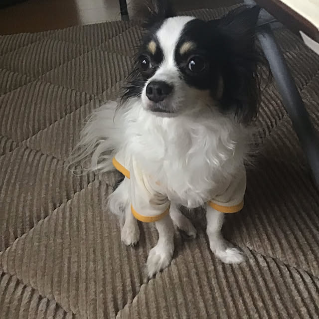 sakuさんの実例写真