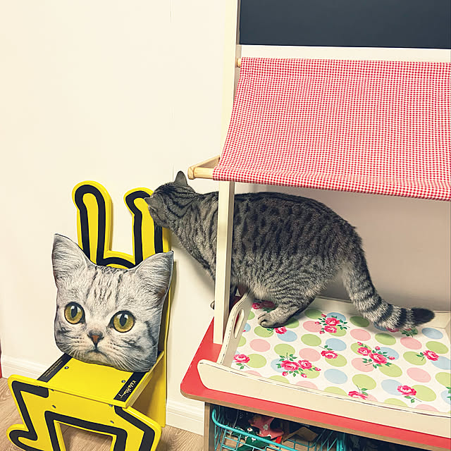 wendyさんの実例写真