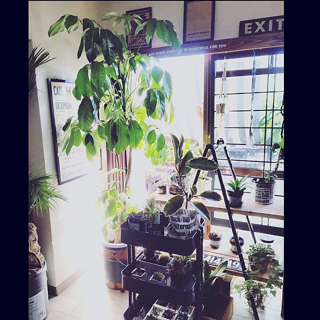 hanamamaさんの実例写真