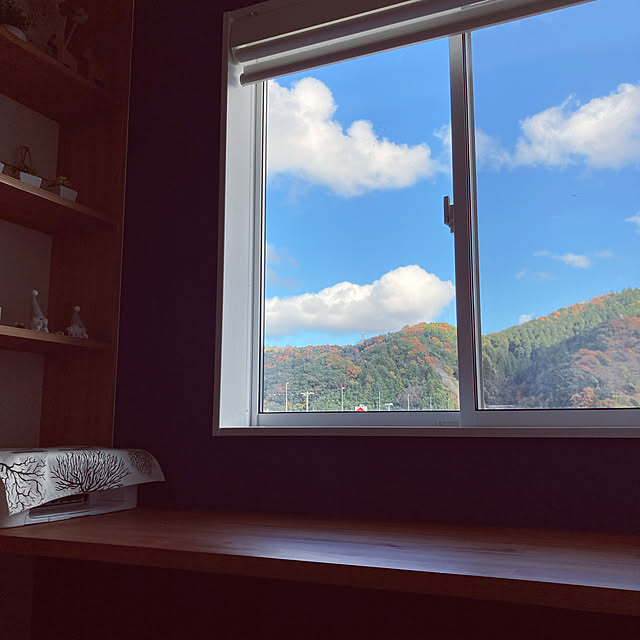 Yasunaさんの実例写真