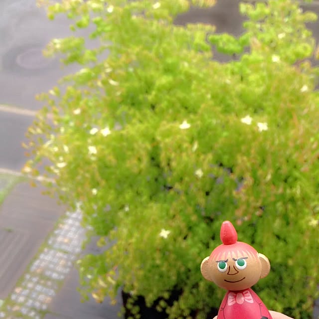 okeiさんの実例写真