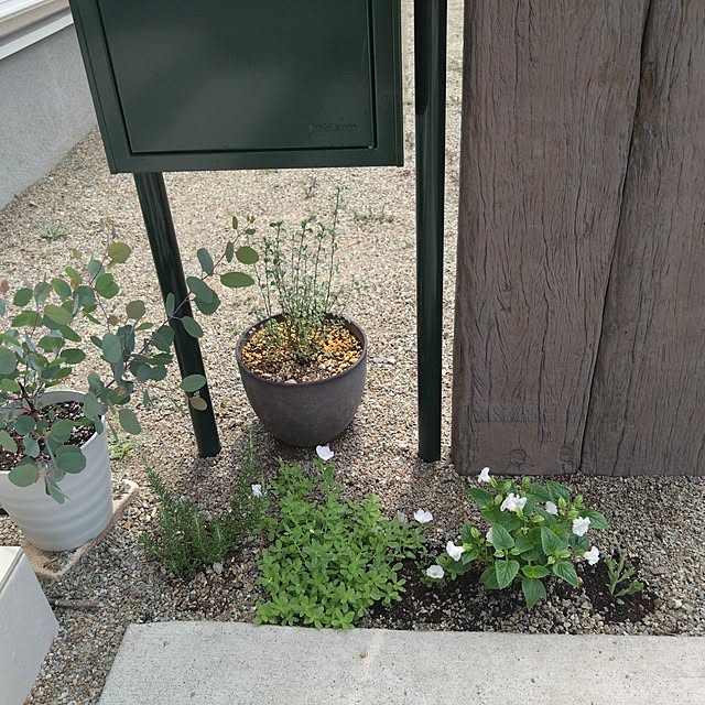 tosuさんの実例写真