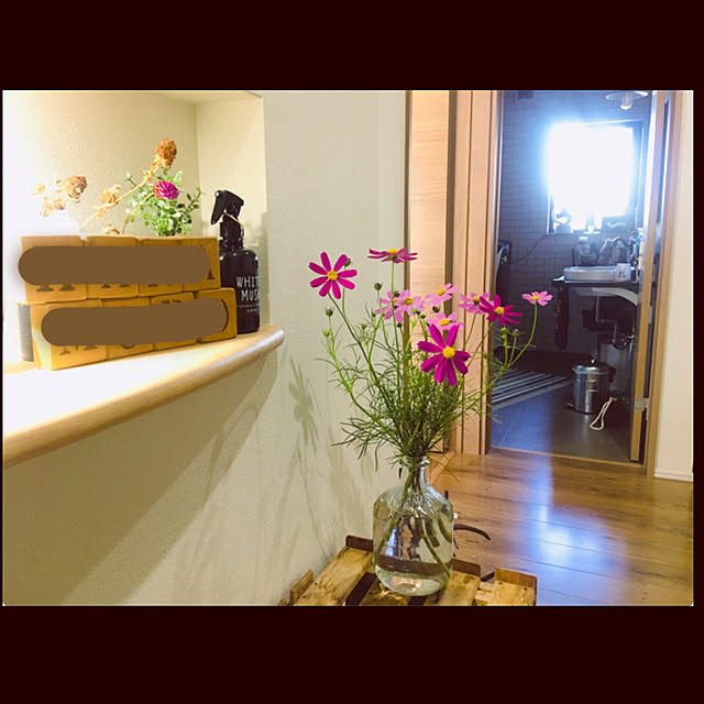 MAGUさんの実例写真