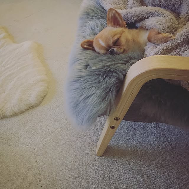 haruhinaさんの実例写真
