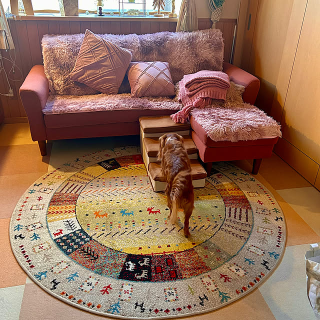 juncocoさんの部屋
