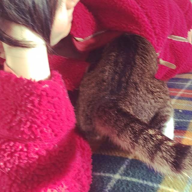 ayapiiiiceさんの実例写真