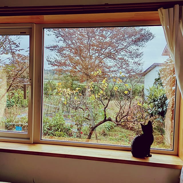 MyuRuuさんの実例写真