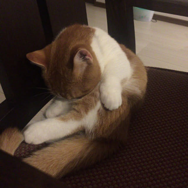 KotarouKunさんの実例写真