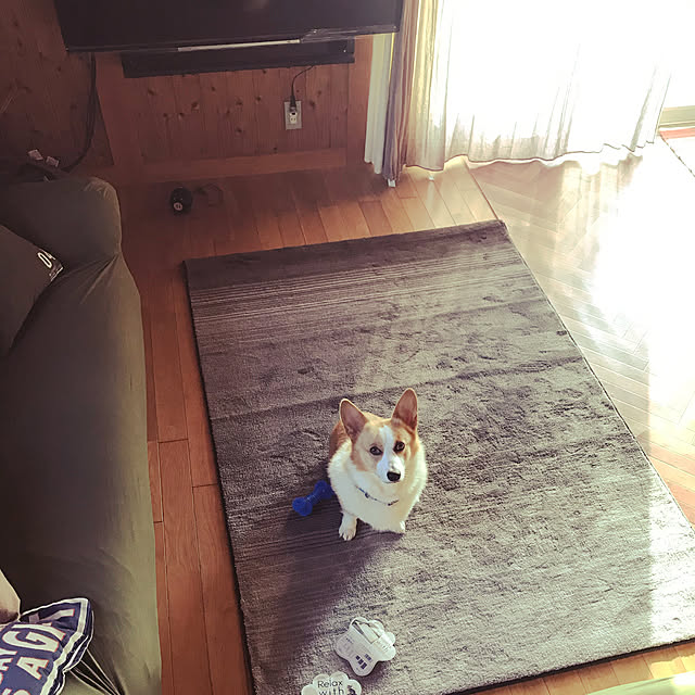 328さんの実例写真
