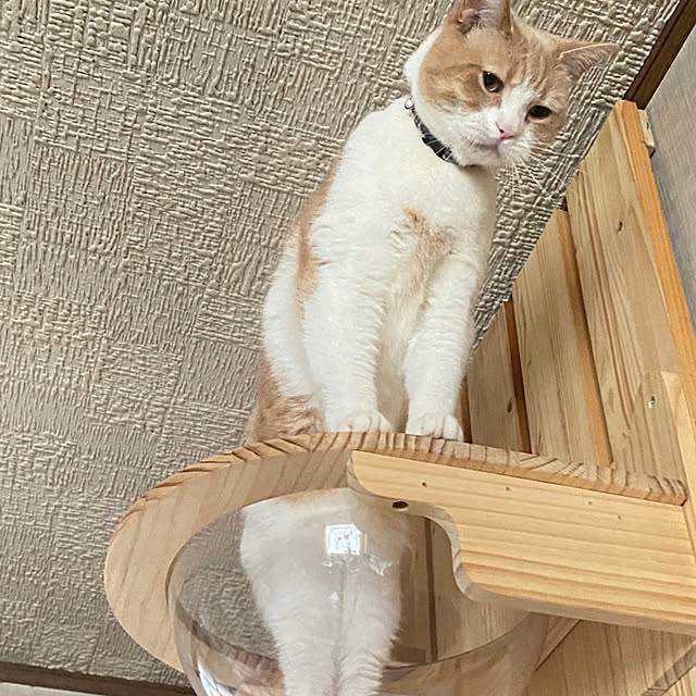 mintteaさんの部屋
