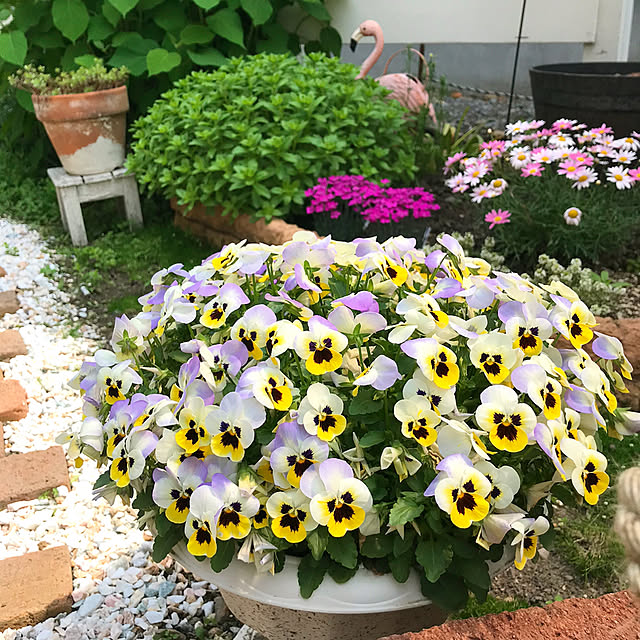 kotoriさんの実例写真