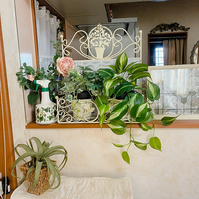 mukkuさんの部屋