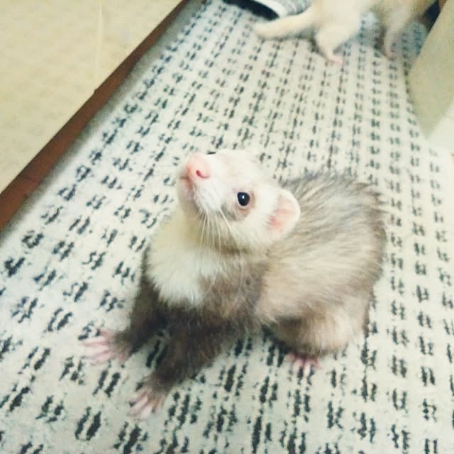 an89さんの実例写真