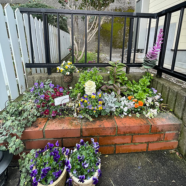 yasuhaさんの実例写真