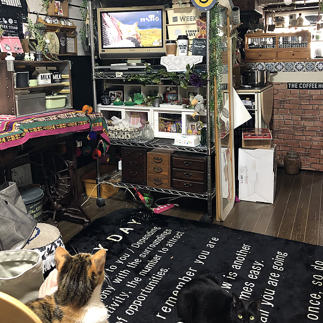 vivienne.coco-keiさんの実例写真