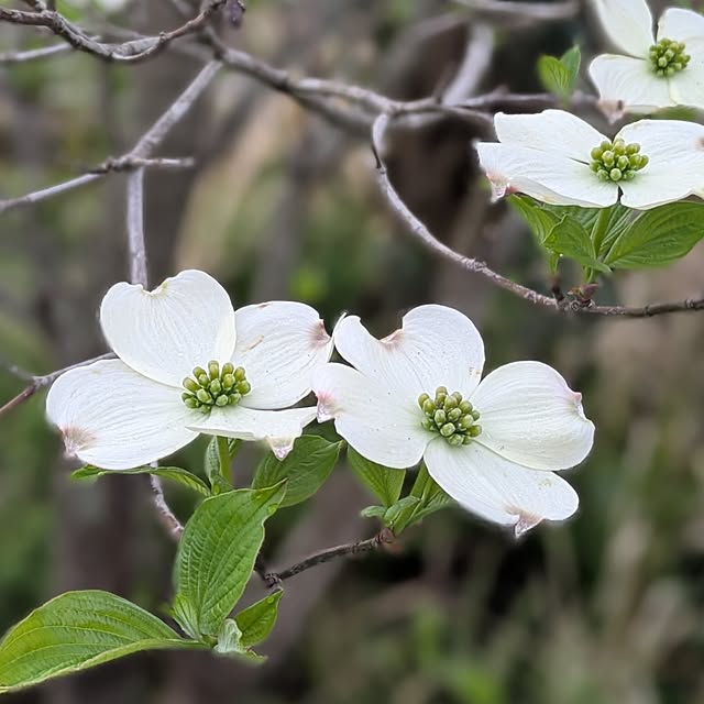 ot-gardenさんの実例写真