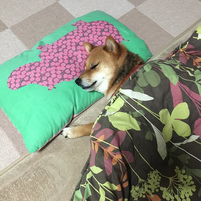 mtkさんの実例写真