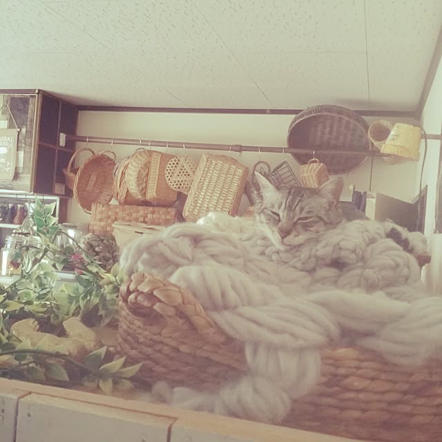 annさんの実例写真