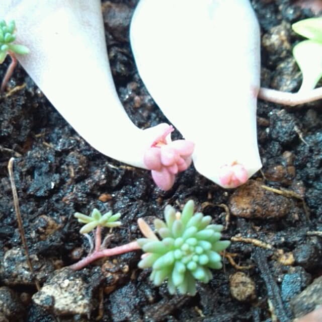 asa0521さんの実例写真