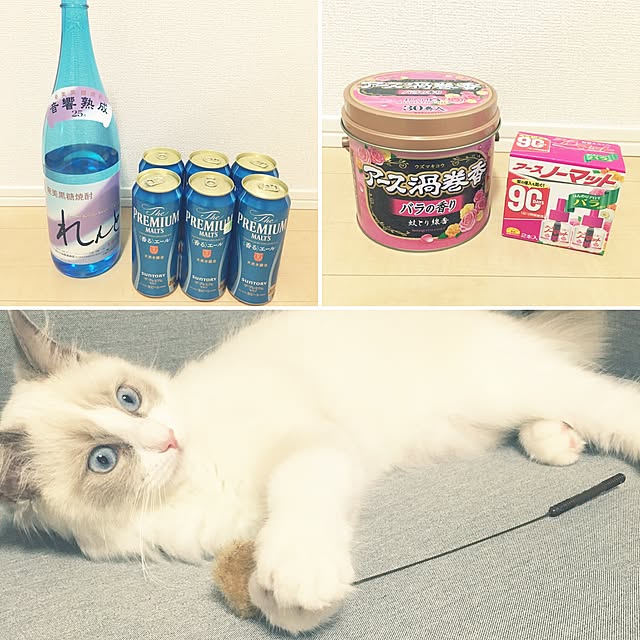rbesfさんの実例写真